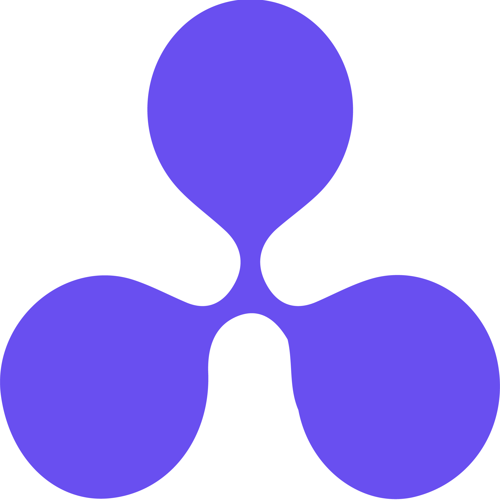 Code Kraft Solutions